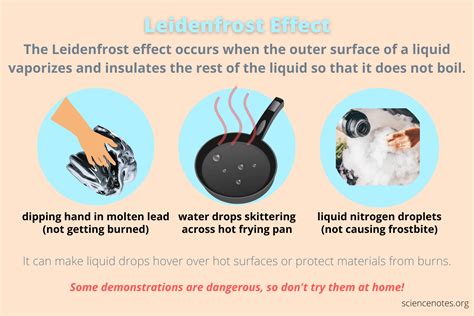 This is called the Leidenfrost effect, and it happens because of a tiny layer of water vapor that forms under each droplet, insulating it from the hot surface. . Leidenfrost effect temperature
